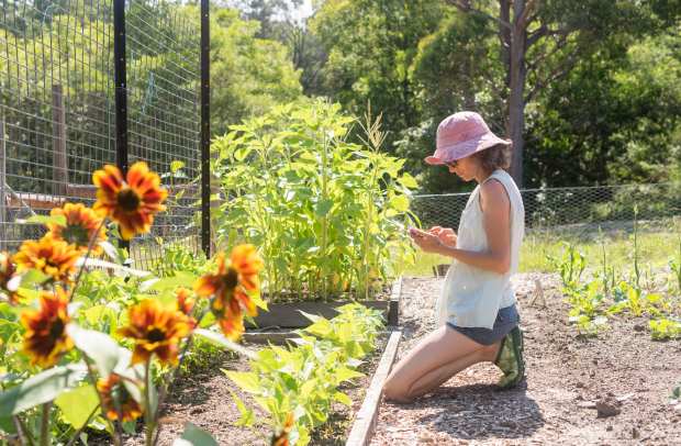 Even For Smart Sprinklers, Security Matters