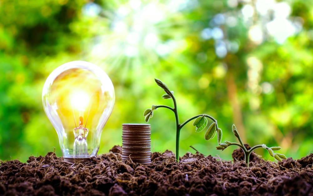 B2B Investors Diversify, From Logistics To X-Border Payments