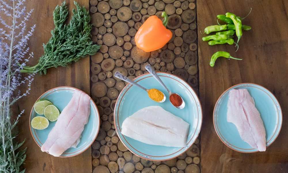 Powering Protein Snacks With eCommerce