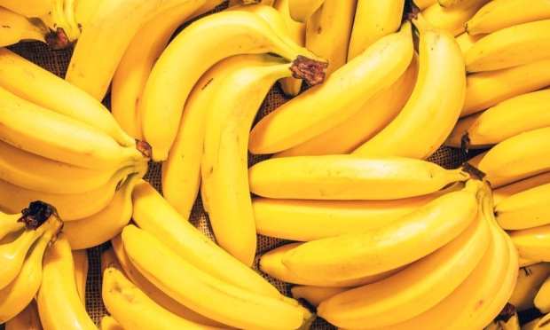 Turning Unwanted Bananas Into Energy Snacks With Upcycling