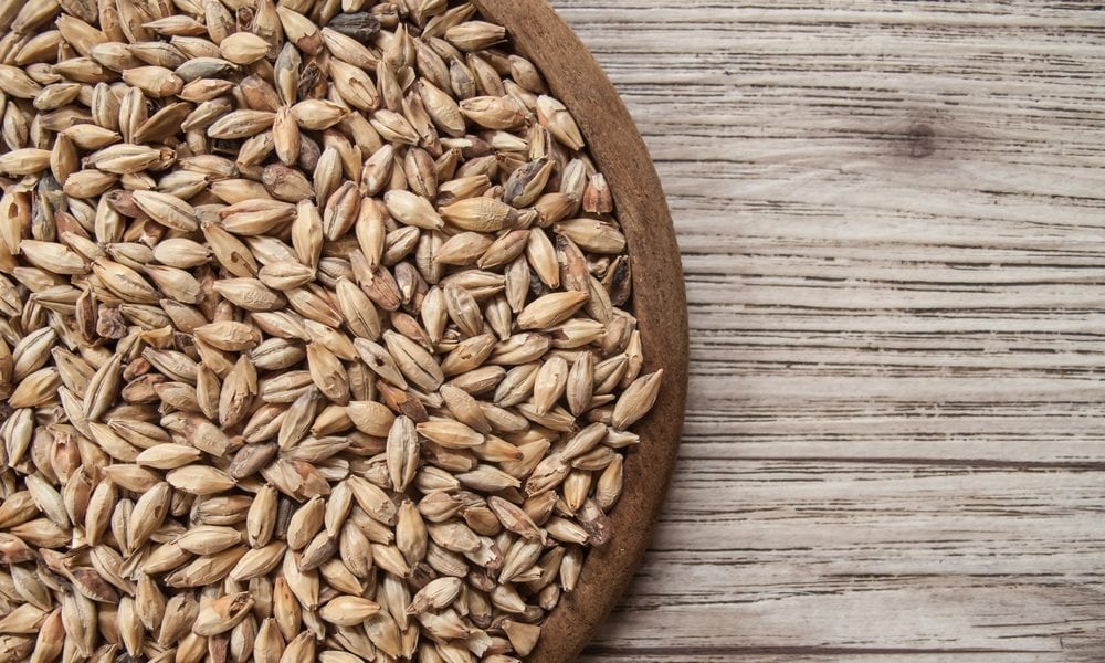 From Beer To Snack Bars: Using eCommerce To Upcycle Food