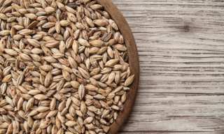 From Beer To Snack Bars: Using eCommerce To Upcycle Food