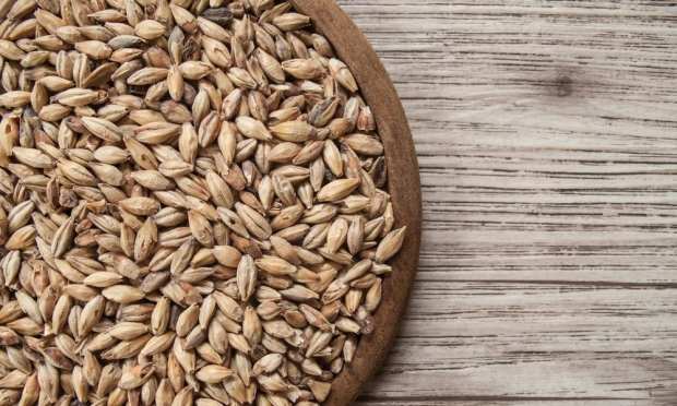 From Beer To Snack Bars: Using eCommerce To Upcycle Food