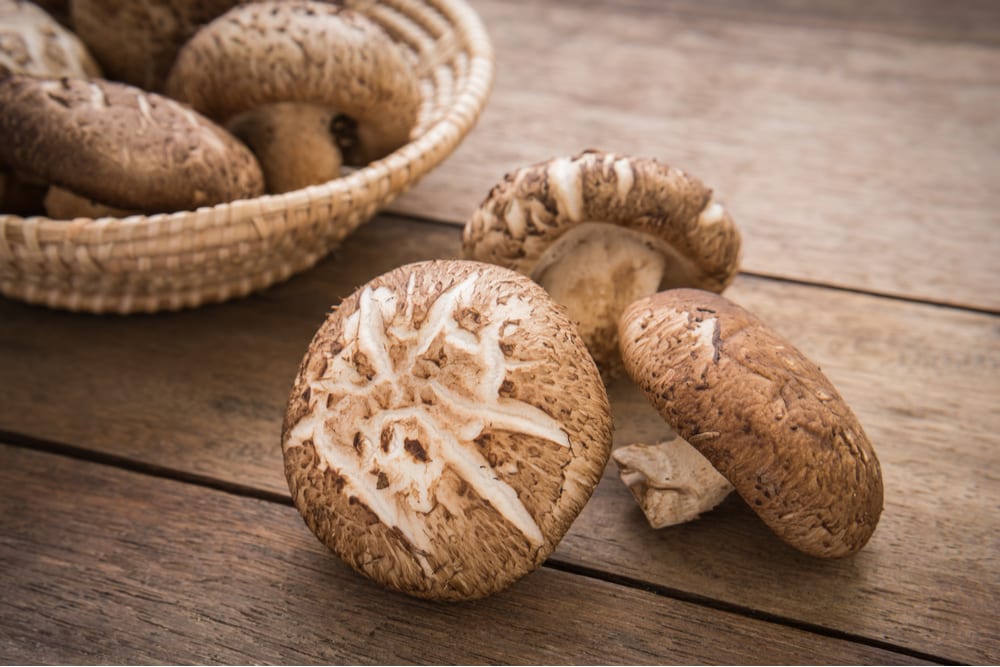Sharing Plant-Based Family Snack Recipes Via eCommerce