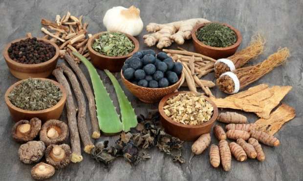 Delivering Superfoods To Consumers In the Shape of Nutrition Bars