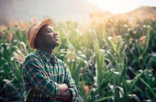 WeFarm Raises $13M To Grow Global Farming Network