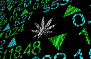 Cannabis Firms See Share Prices Nosedive