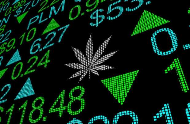 cannabis, weed, marijuana, legal, medicinal, market, public, stock, shares
