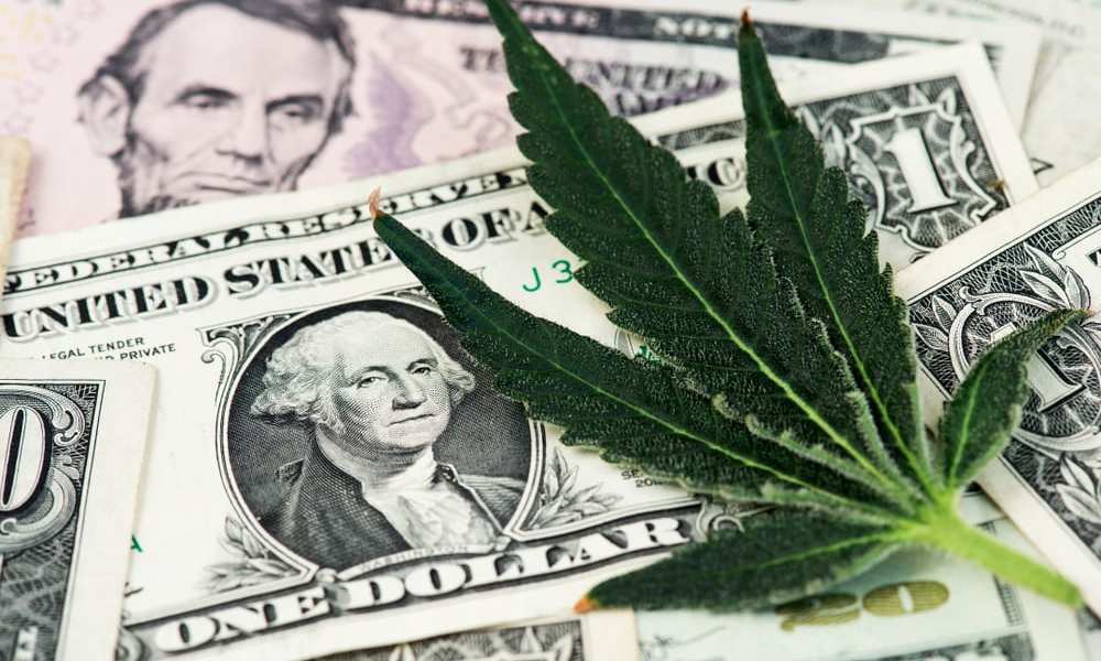 marijuana leaf with cash