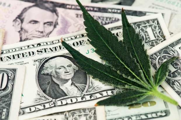 marijuana leaf with cash