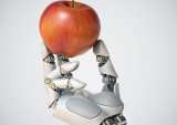 Can Robots Help Solve the Fresh Food Problem?