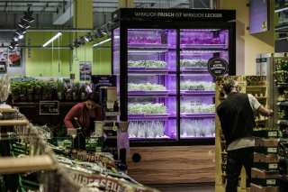 Kroger Becomes First North American Grocer To Launch In-Store Farms