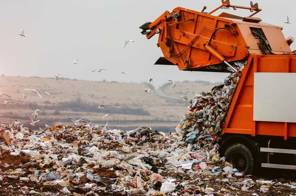 How ‘Circular Sourcing’ Powers Renewable Retail