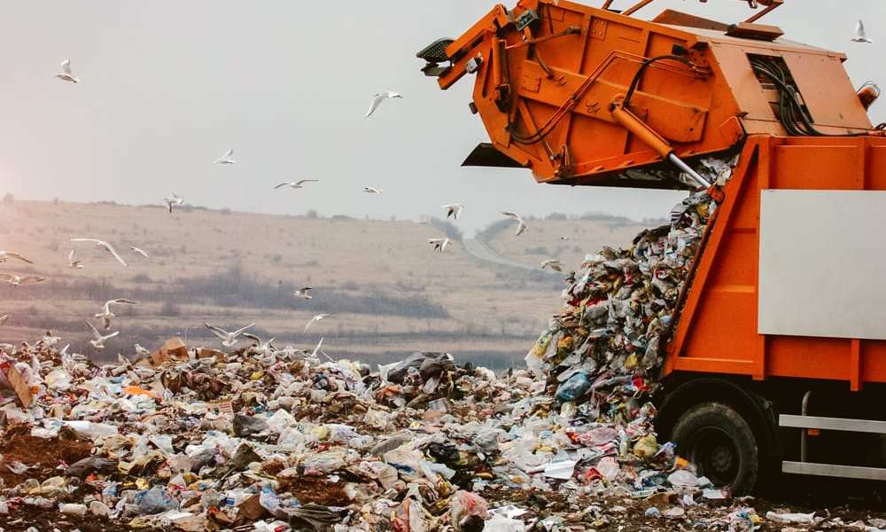 How Circular Sourcing Powers Renewable Retail