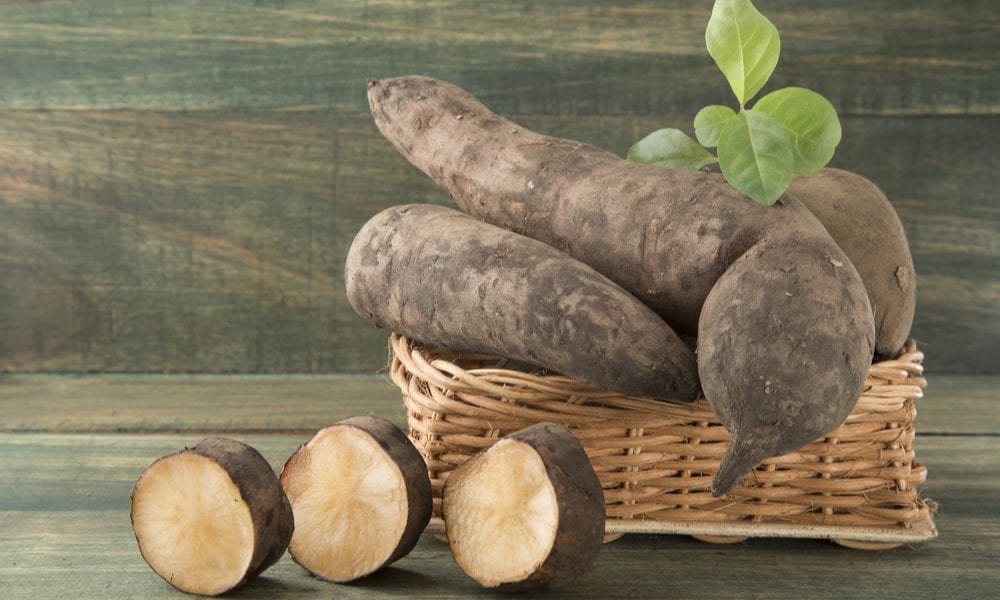 Fueling Consumers With Protein, Prebiotics And eCommerce