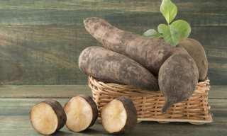 Fueling Consumers With Protein, Prebiotics And eCommerce
