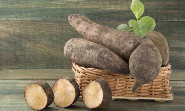 Fueling Consumers With Protein, Prebiotics And eCommerce