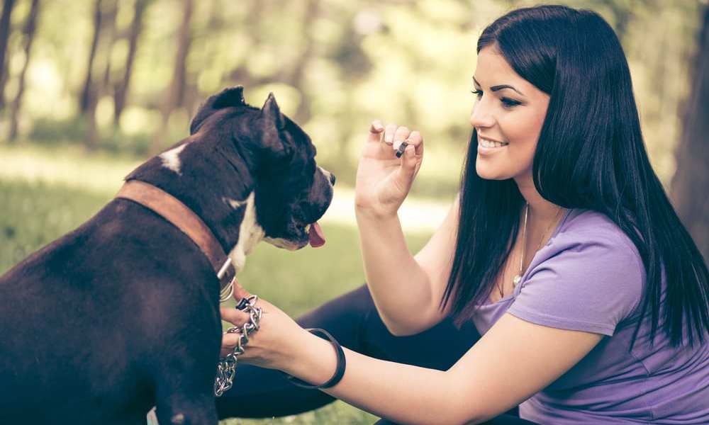 Making Pet Food More Pup- And Planet-Friendly