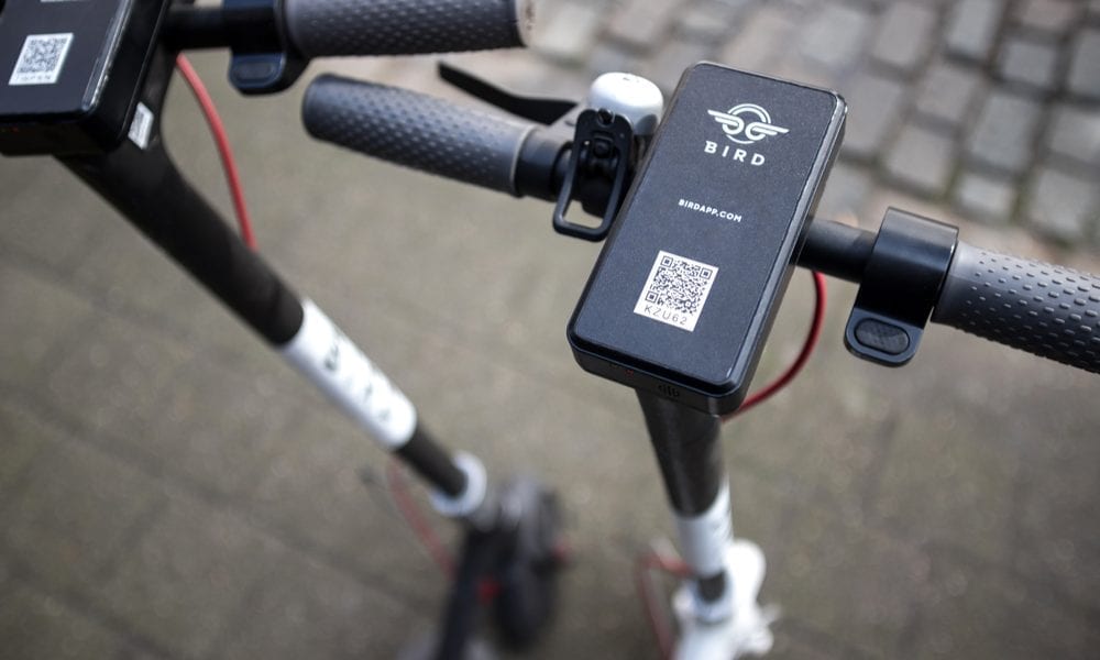 InsurTech SPACs In Spotlight, And Bird Takes Flight Toward IPO 