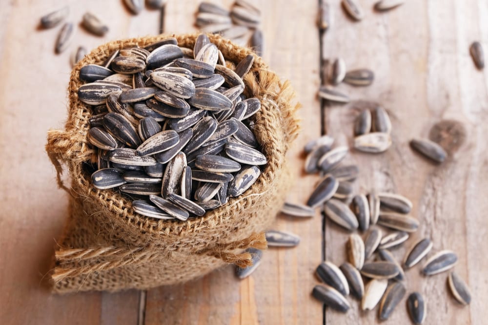 Bringing Allergy-Friendly Seed Bars To Consumers Via eCommerce