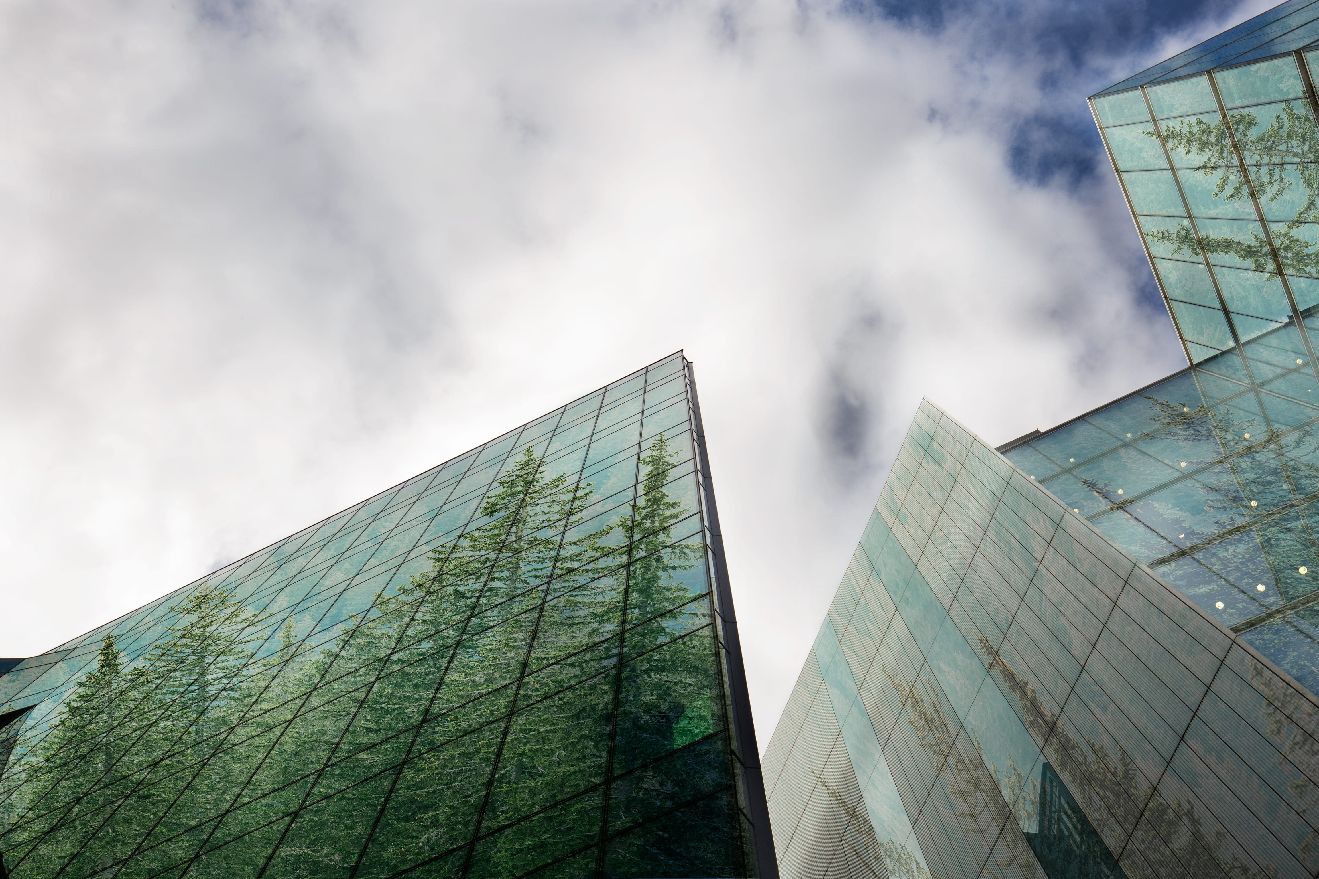 Salesforce Launches Sustainable Products For Eco-Friendly Businesses
