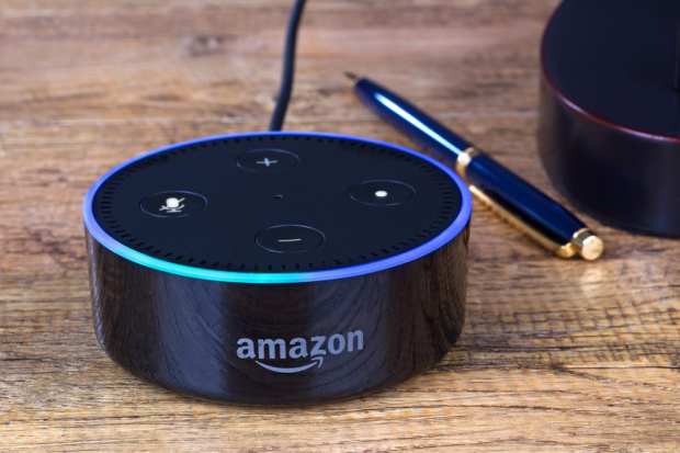 Amazon dominates smart speaker market