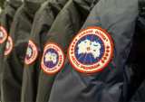Canada goose jackets