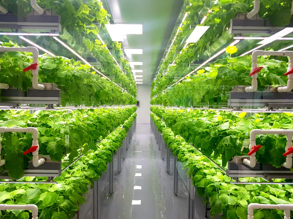 Farming’s AI, Data Driven (And Vertical) Tech Revolution