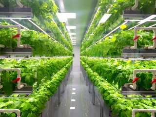 Farming’s AI, Data Driven (And Vertical) Tech Revolution
