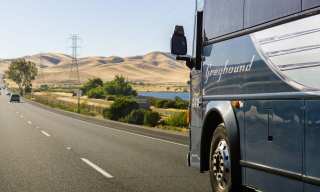 How Greyhound Bus Makes Fraudsters Play Fare