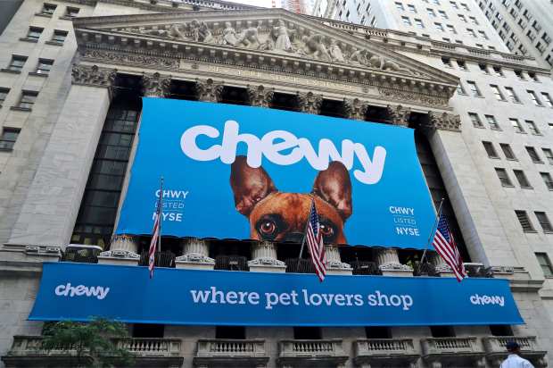 Mixed Bag For 2019 Retail IPO Stars