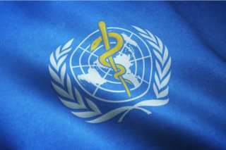 Hackers Target World Health Organization
