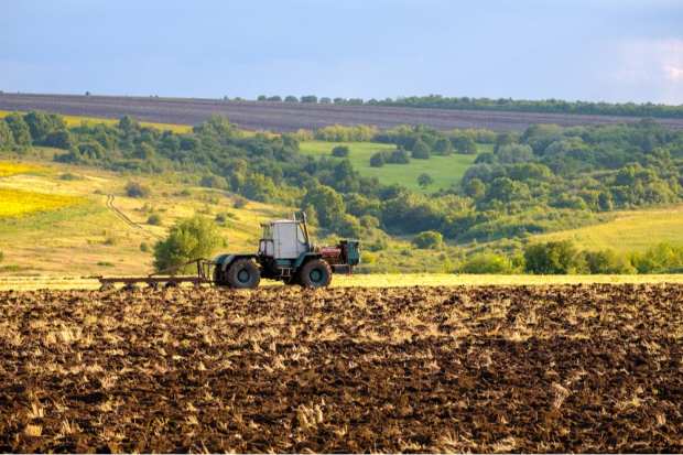 GrainChain Accelerates Farmer Payments With Blockchain