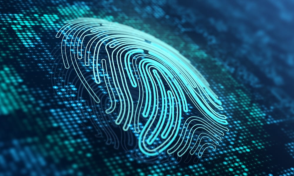 Securing The Bank’s Digital Front Door