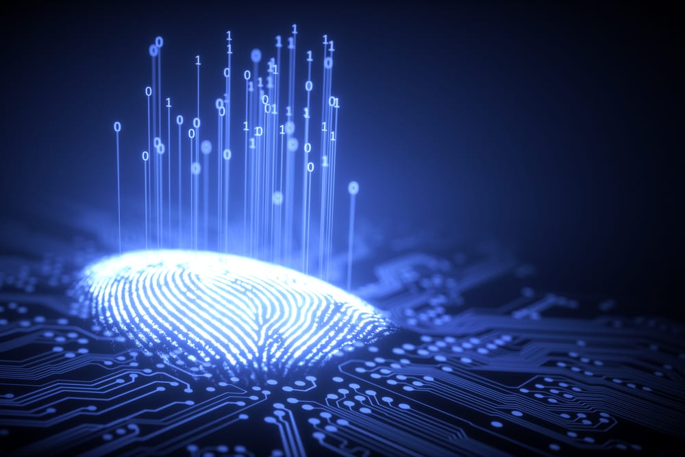 The Biometric Authentication Generation Gap