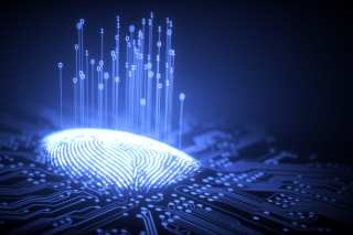 The Biometric Authentication Generation Gap