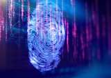 Enlisting AI And Biometrics In The Fight Against Digital Identity Theft