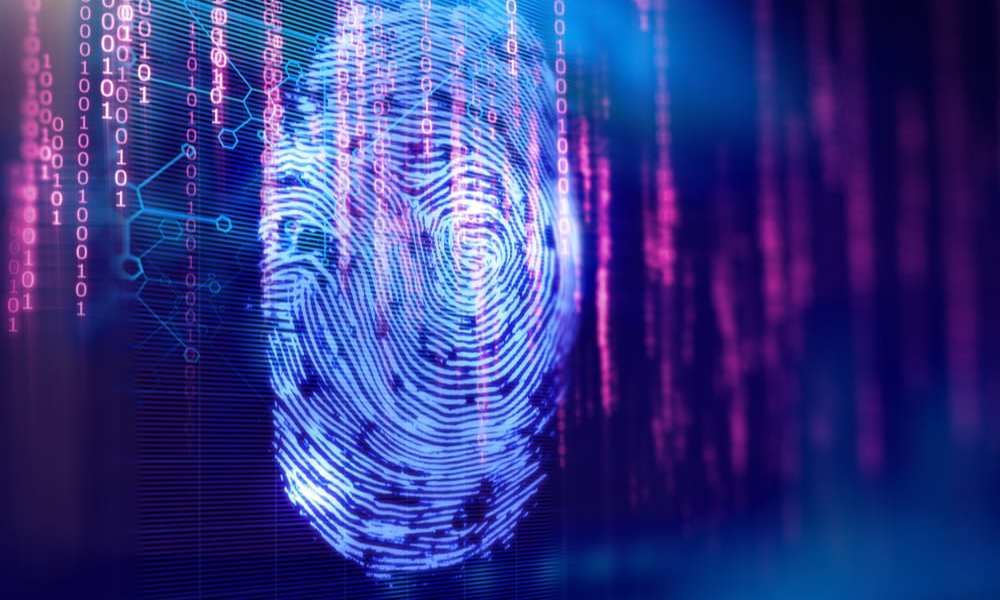 fingerprint biometrics