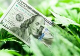 The Complicated Picture Of Banking Cannabis SMBs
