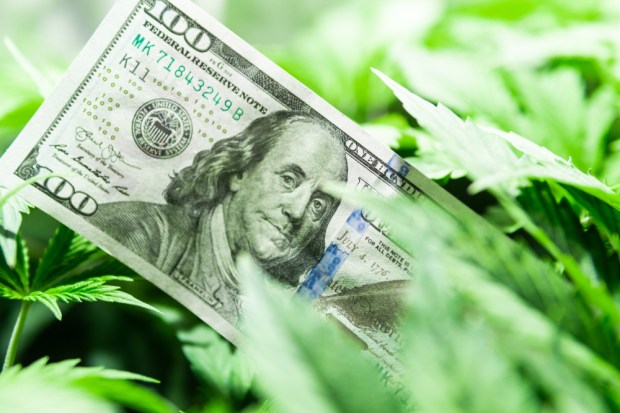 The Complicated Picture Of Banking Cannabis SMBs