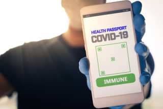 Overstock CEO: Why Immunity Passports Could Move Blockchain Tech Mainstream