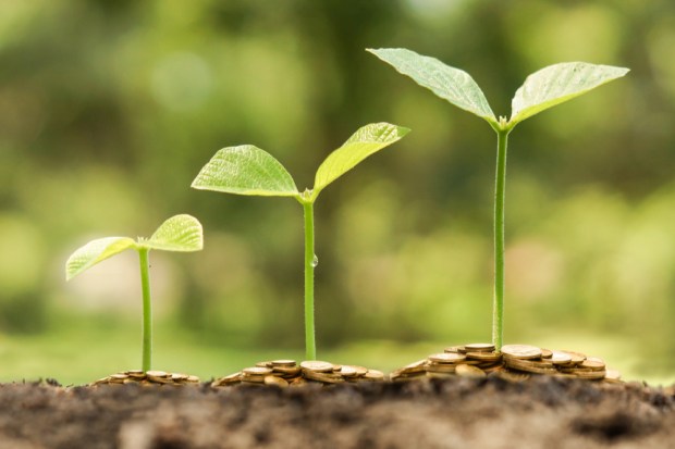 ‘Green Shoots’ Or Scorched Earth: What We’ve Learned From Banks And Payment Networks’ Latest Earnings Calls