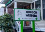 New Stimulus Bill Would Give Cannabis Firms Bank Access