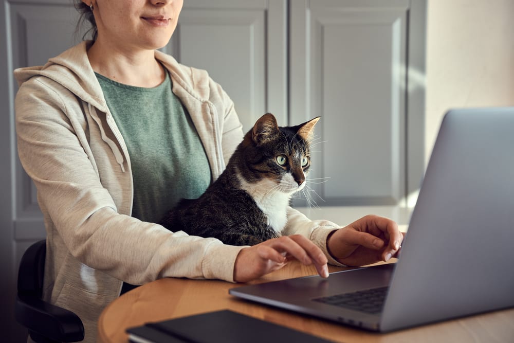 Pandemic’s Digital Shift Spurs Pet And Fashion Retail Innovation