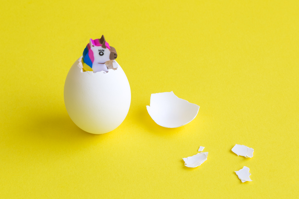 Small Businss Banking Secures New FinTech Unicorn