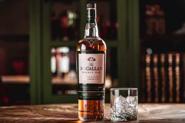 The Macallan Scotch