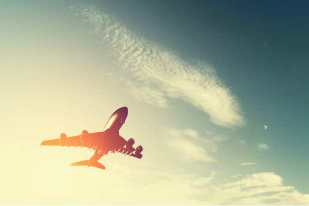 Senate Committee Hearing Puts Airline Chiefs in Hot Seat Over Cancellations, Staffing Shortages