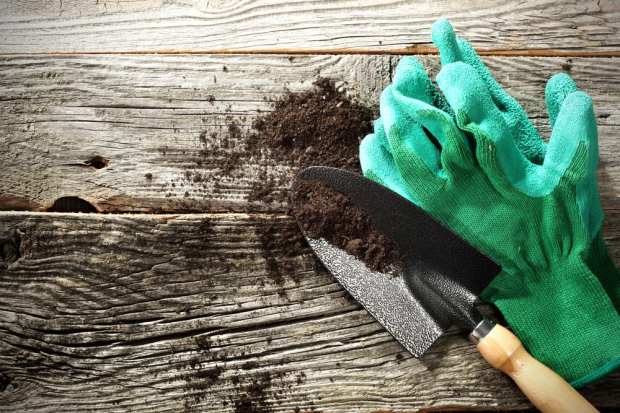 Deep Dive: Consumers Turn To Home Improvement Projects Amid The Pandemic With BNPL Assist