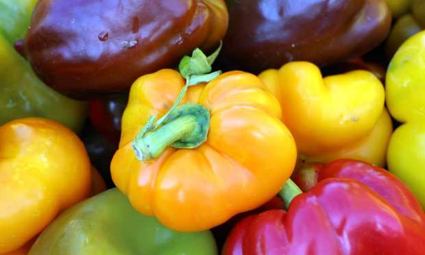Why Misfits Market Thinks Selling Imperfect Produce Is A Perfect Business