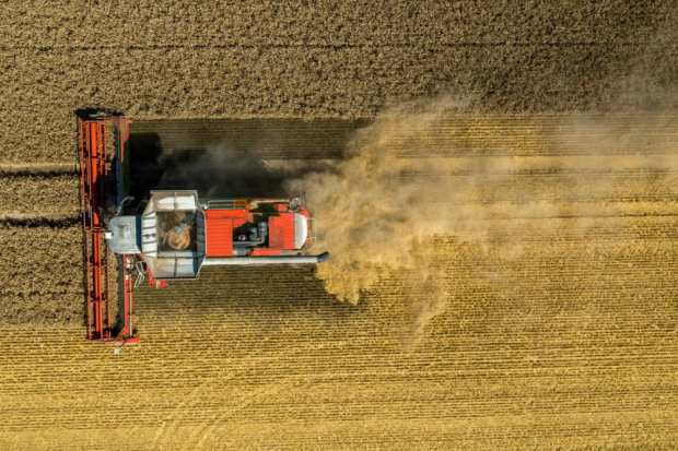 Bringing 21st Century Technology To A 12,000-Year-Old Industry